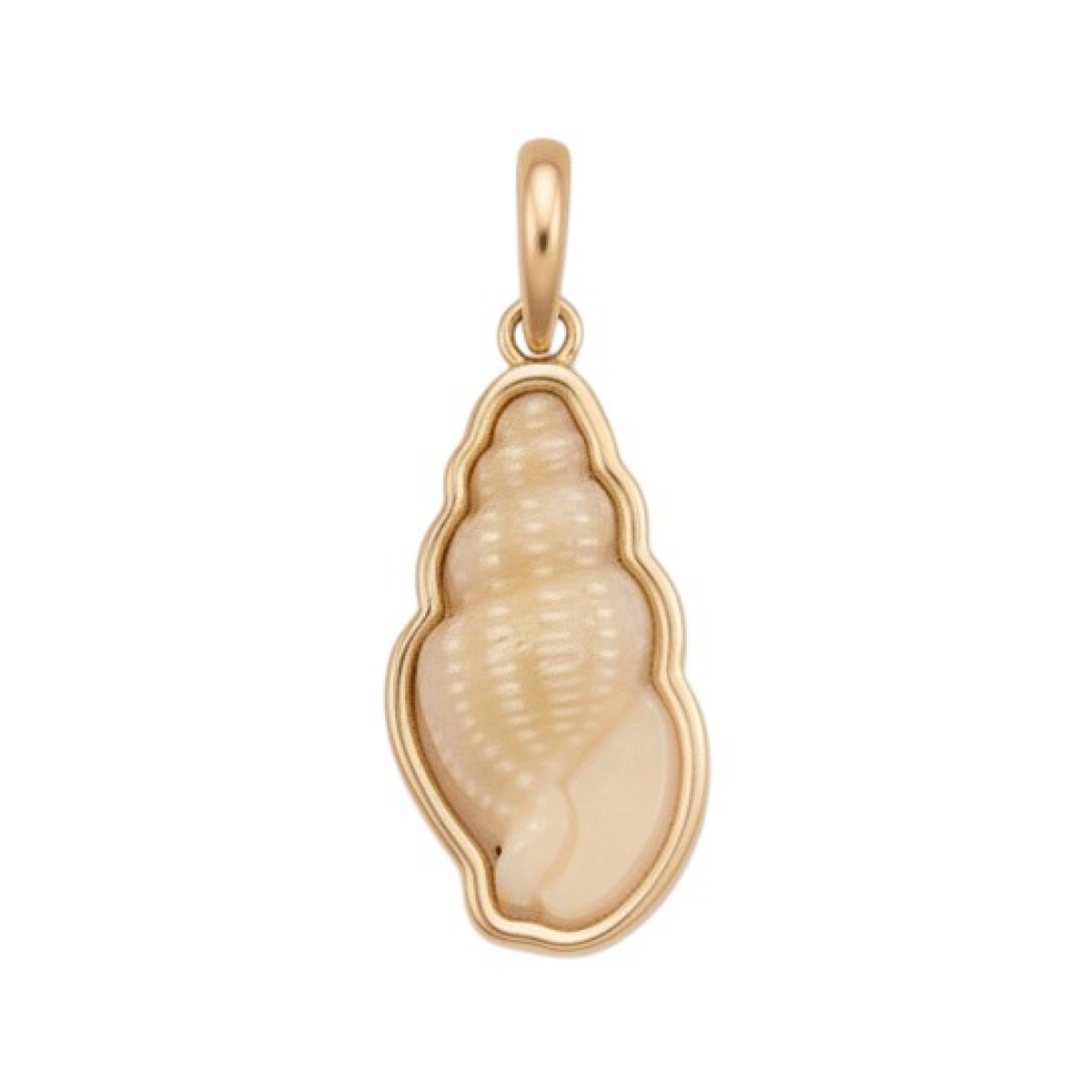 Gold edged Conch Shell charm with a gold bail