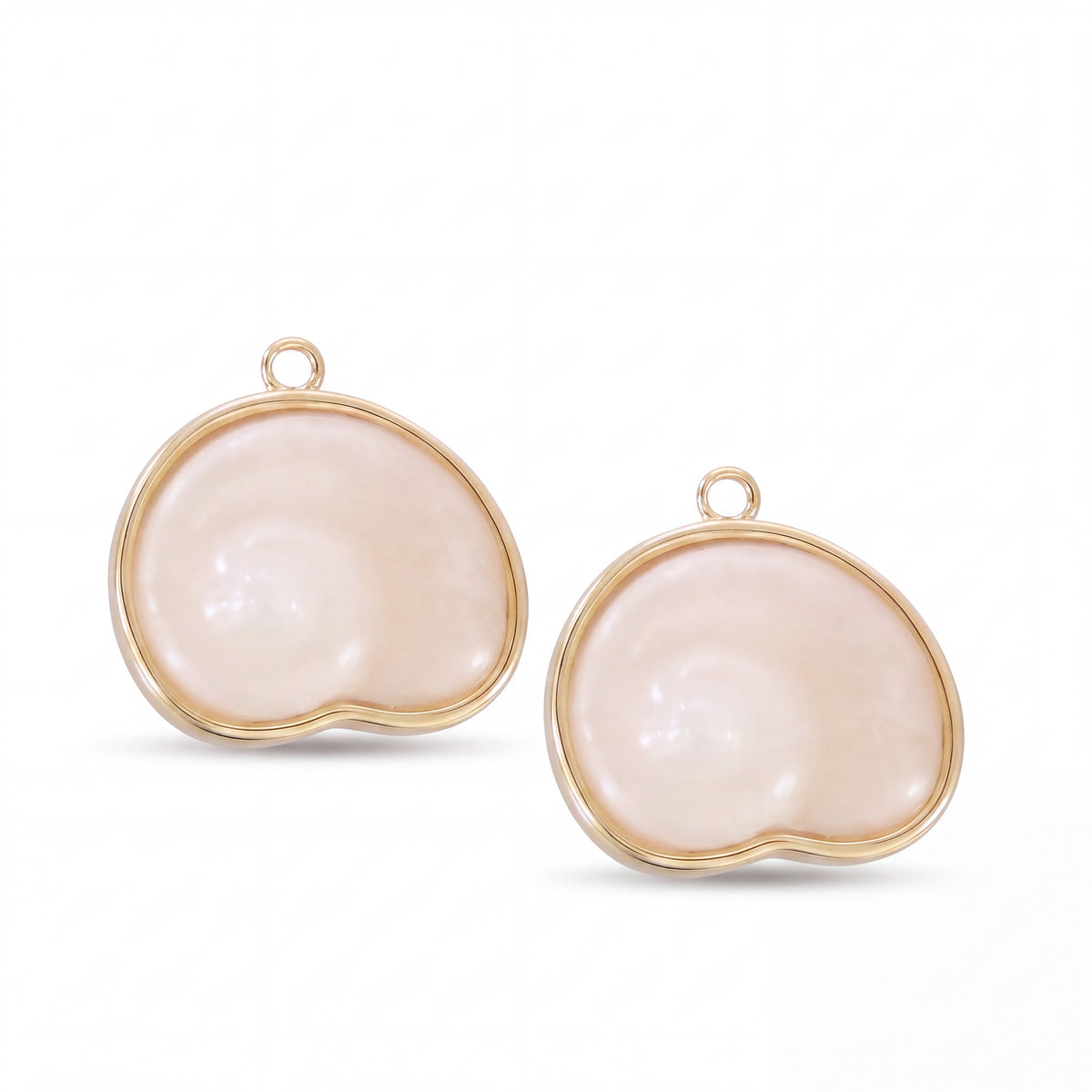 Spiral Shell earring charm pair with gold outlines